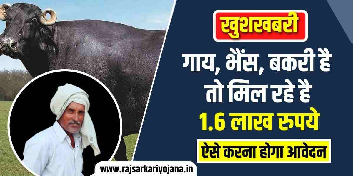 राजस्थान पशु किसान योजना